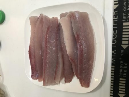 明石沖ジギング