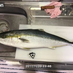 初メジロゲット!!