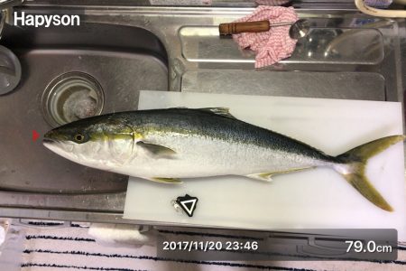 初メジロゲット!!