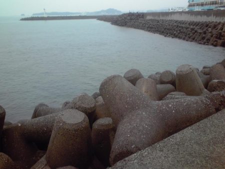 ジャンボアジ（尺アジ）4匹