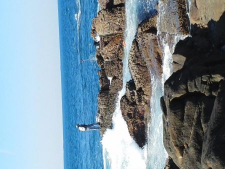 グレ・アオリイカ・小さい・・・・・・