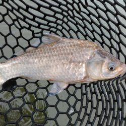 冬間近ですが青野バスは元気です。