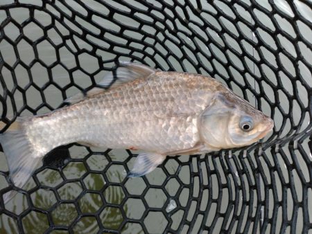 冬間近ですが青野バスは元気です。