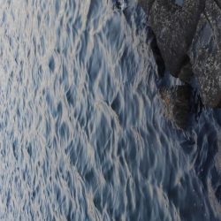 フォールでパクリ！