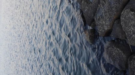 フォールでパクリ！