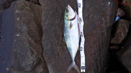 ストリンガーが