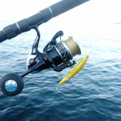 朝練(今週３回目）