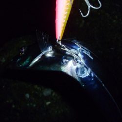 朝練　60分1本勝負！！