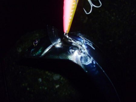 朝練　60分1本勝負！！