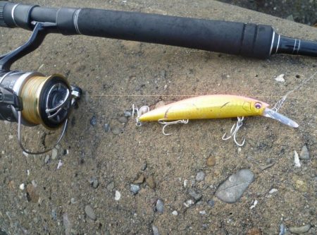 ノマセ師に負けるなルアーマン!