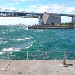 チヌ49.5cmゲット！