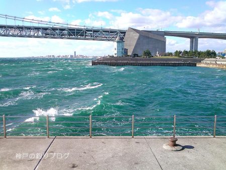 チヌ49.5cmゲット！