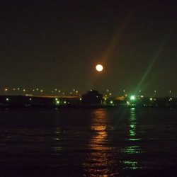 西宮ケーソン釣行