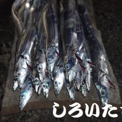 12日の兵庫突提に行ってきました。