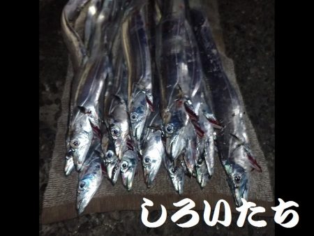 12日の兵庫突提に行ってきました。