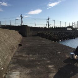 大阪岸和田忠岡の貯木場でヘチ釣り後にショアジギングでハマチをゲット！！