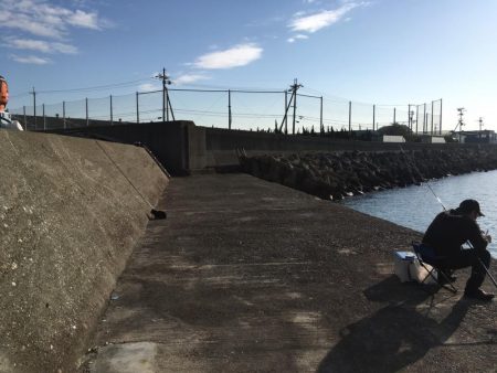 大阪岸和田忠岡の貯木場でヘチ釣り後にショアジギングでハマチをゲット！！