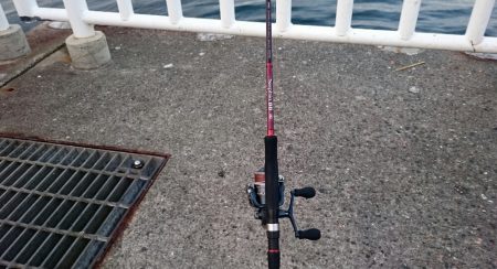 ◯タチウオと何これ！？