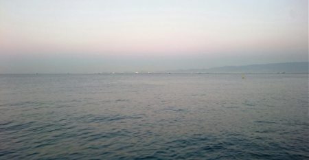 ◯なんとか１匹