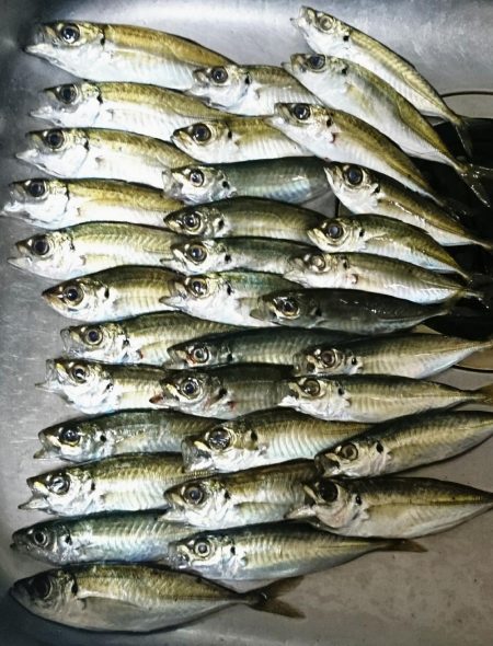 今日も風が強かった