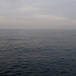 ◯やっぱり渋いな