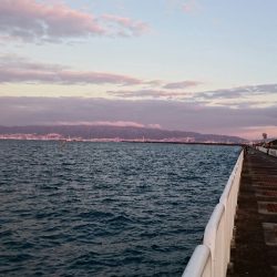 ◯タチウオこのまま終了か！？