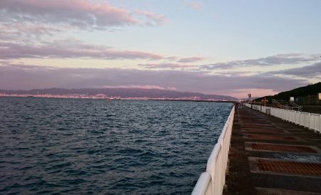 ◯タチウオこのまま終了か！？