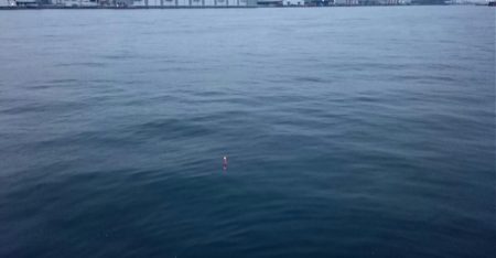 ◯湾奥タチウオ