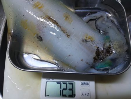 1杯のみだけど良型GET