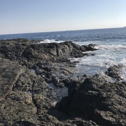 南紀でひさびさにキロアップ