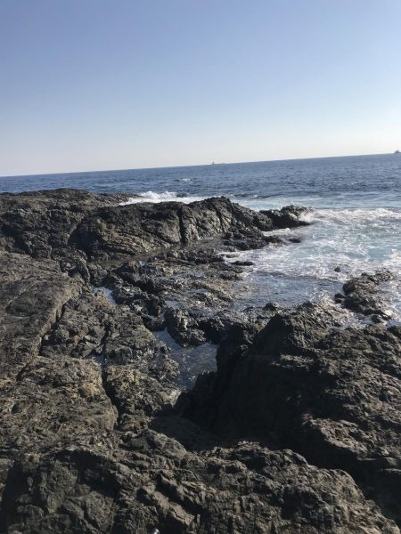 南紀でひさびさにキロアップ