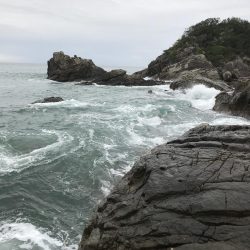 南紀でエギングランガン