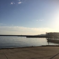 ロックフィッシュ