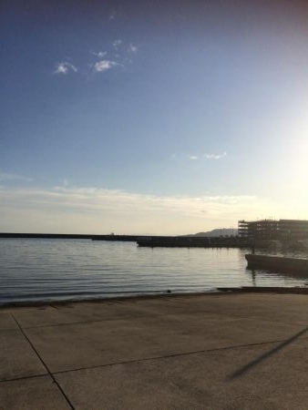 ロックフィッシュ