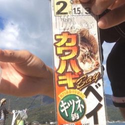 爆釣カワハギ！