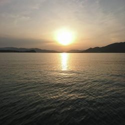 ボートエギング