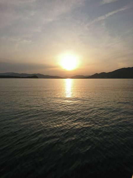 ボートエギング