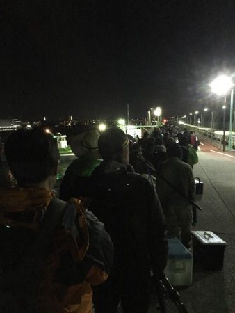 朝一、人人人…