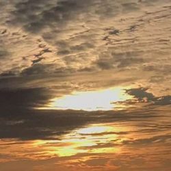 穴釣り○　エギング×