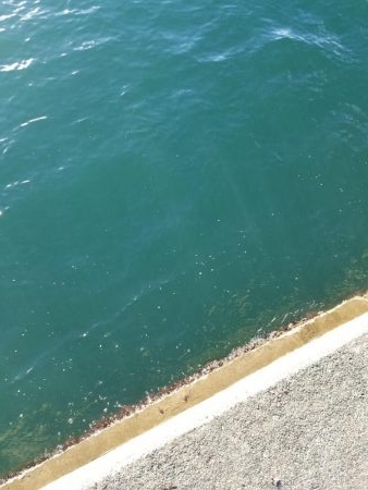 秋アオリ調査も終盤❗