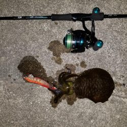 浅川マキ沖堤防にて