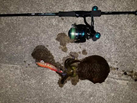 浅川マキ沖堤防にて