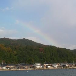 エソのサイズのアオリが欲しい・・・