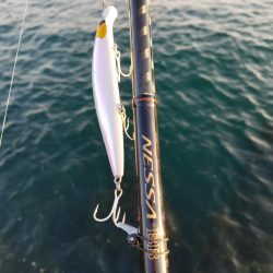 外道でビックモンスター