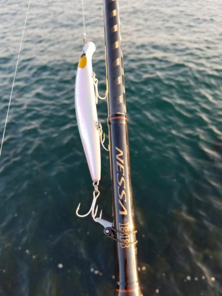 外道でビックモンスター