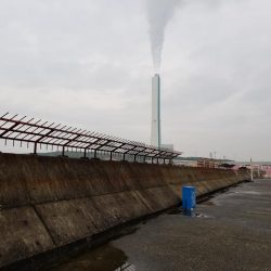 太刀魚も終盤戦かな…