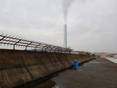 太刀魚も終盤戦かな…