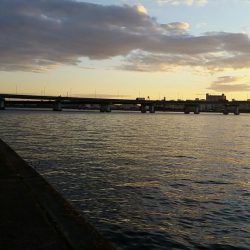 ホームで久々のツ抜けでした。