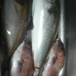 始め良ければ終わり良し