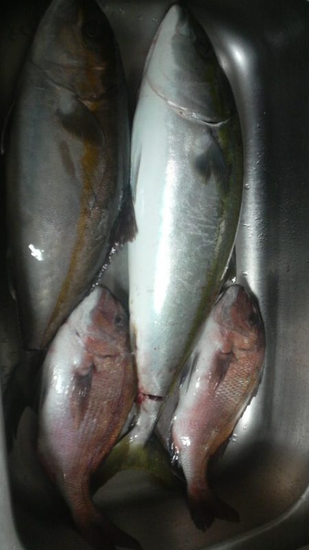 始め良ければ終わり良し